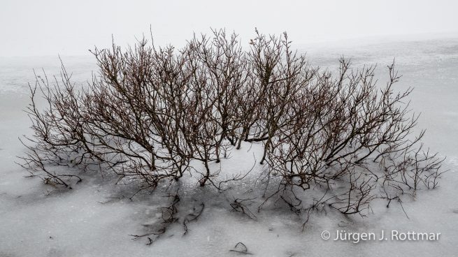 Norwegen | Lofoten | Laupstad