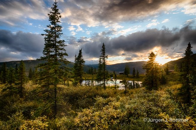 USA | Alaska | Denali National Park | Camp Denali