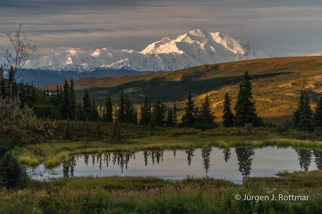 USA | Alaska | Denali National Park | Camp Denali | Mount Denali 6139m