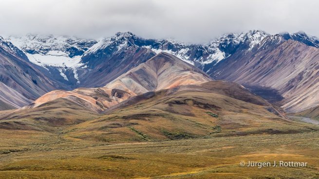 USA | Alaska | Denali National Park | Polychrome Pass