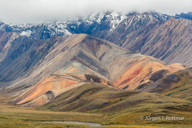 USA | Alaska | Denali National Park | Polychrome Pass