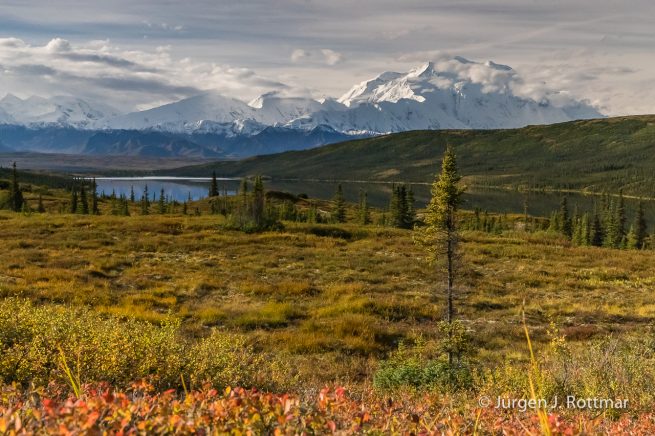 USA | Alaska | Denali National Park | Wonderlake | Mount Denali 6193m