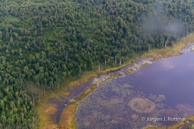 USA | Alaska | Flug zum Lake Clark National Park