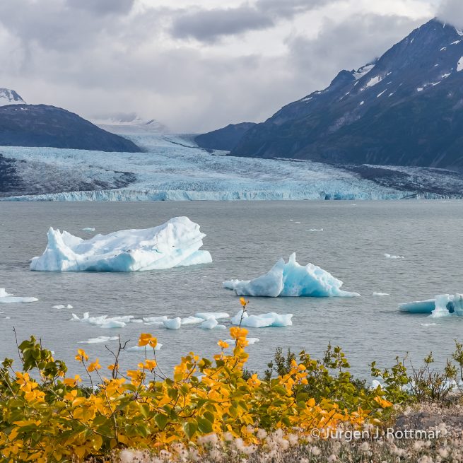 USA | Alaska | Gletscherlagune | Inner Lake George | vor dem Colony Gletscher