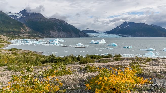 USA | Alaska | Gletscherlagune | Inner Lake George | vor dem Colony Gletscher