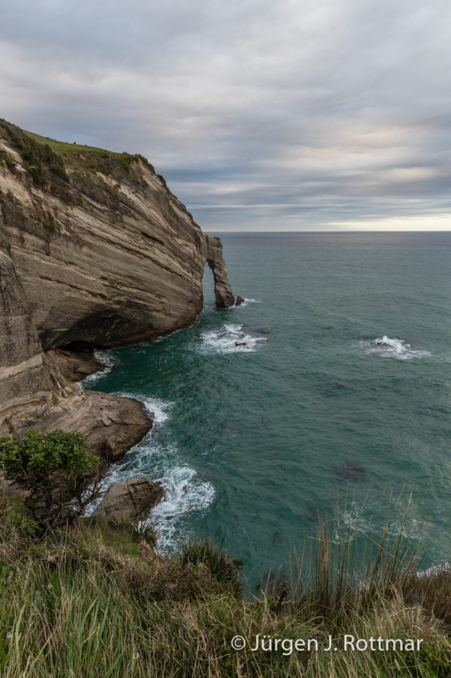 Neuseeland | Südinsel |Takata | The Grove scenic reserve