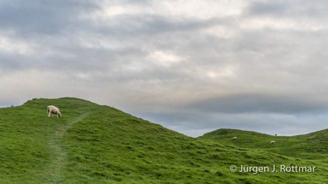 Neuseeland | Südinsel |Cape Farewell