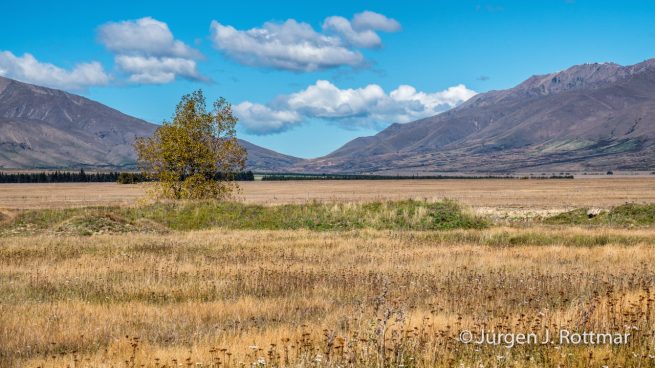 Neuseeland | Südinsel | Haldon Road
