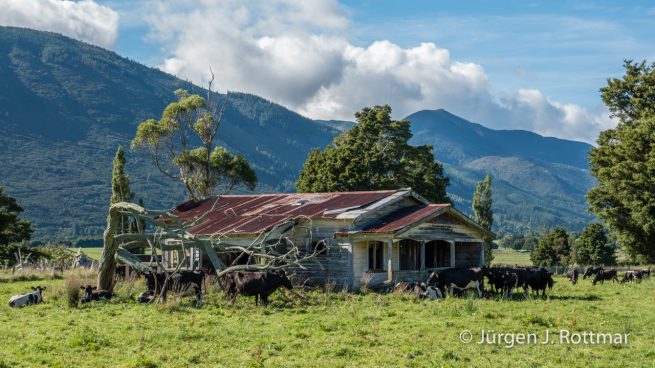 Neuseeland | Südinsel | Harwood Place