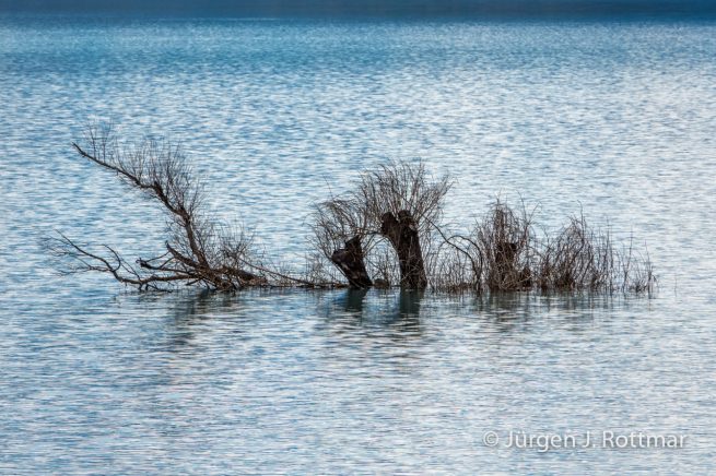 Neuseeland | Südinsel | Lake Tekapo