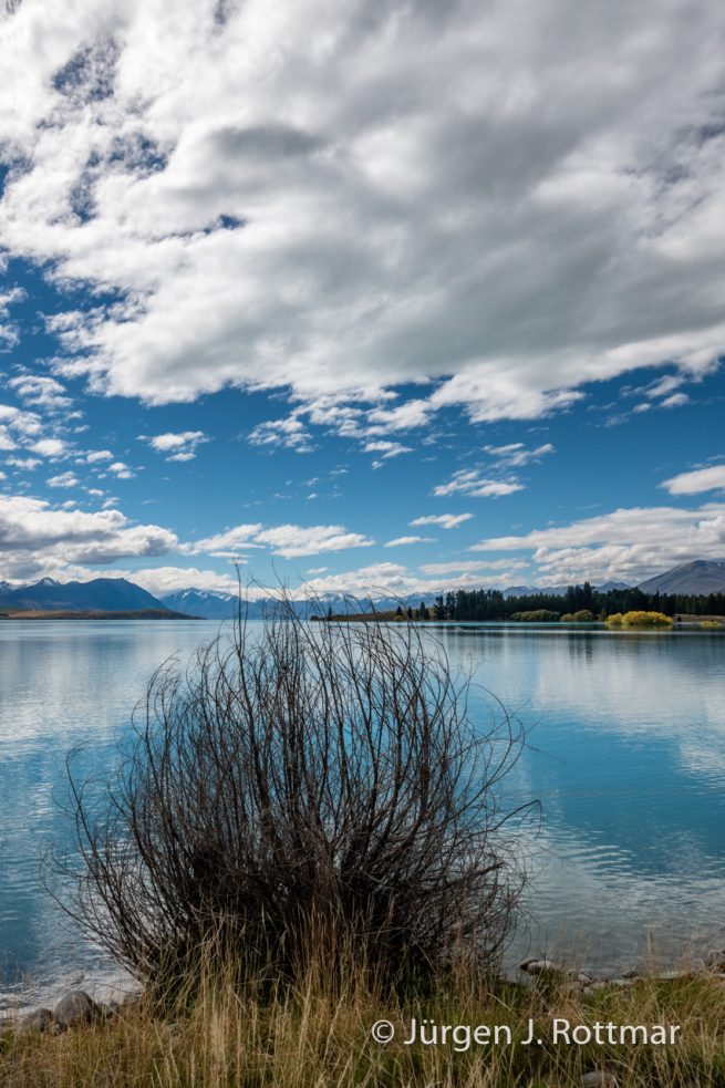 Neuseeland | Südinsel | Lake Tekapo