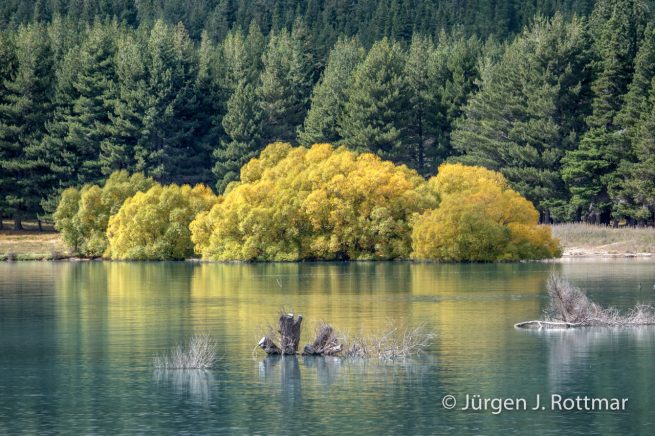 Neuseeland | Südinsel | Lake Tekapo
