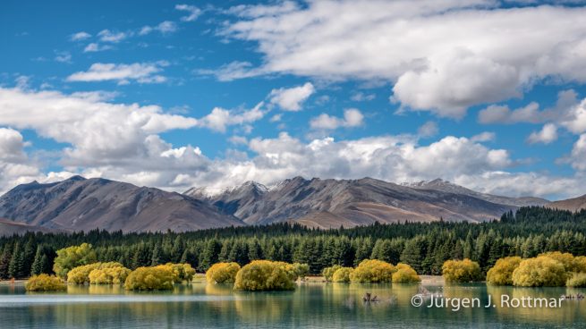 Neuseeland | Südinsel | Lake Tekapo