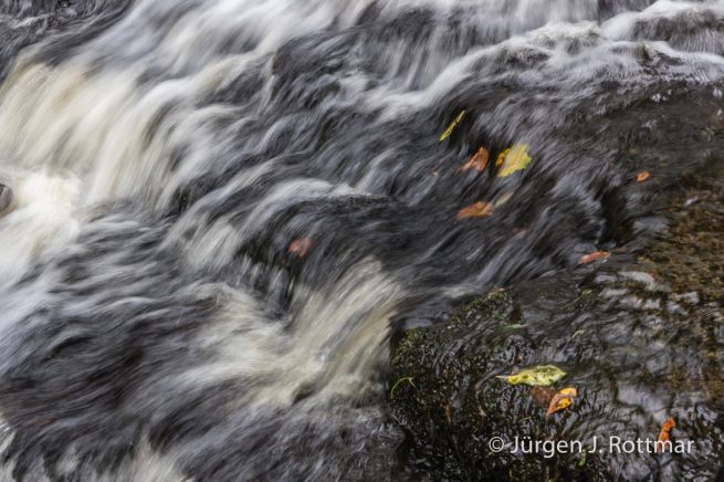 Neuseeland | Südinsel | McLean Falls