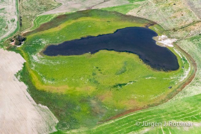 Neuseeland | Südinsel | Wanaka