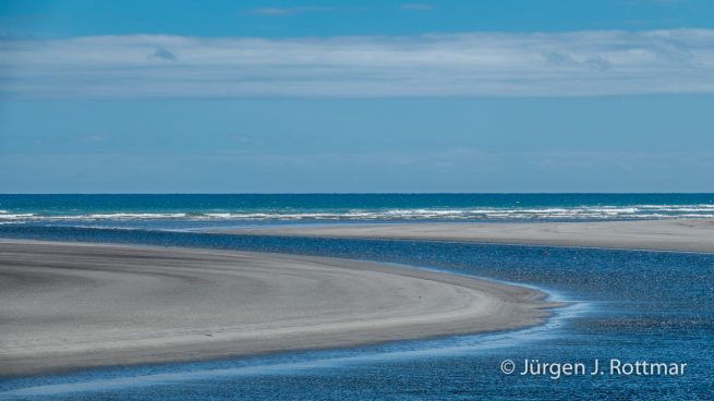 Neuseeland | Südinsel | Okari
