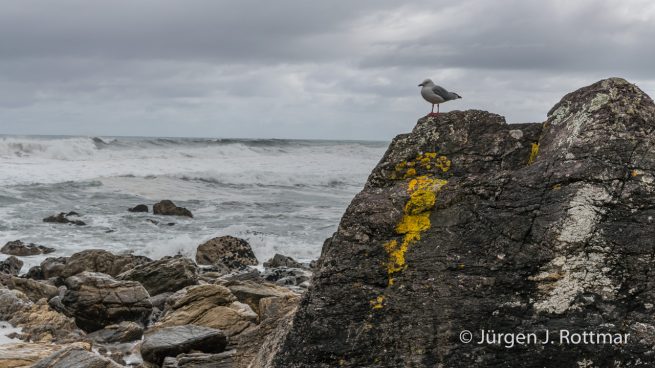 Neuseeland | Südinsel | Punakaiki | Crow Bay
