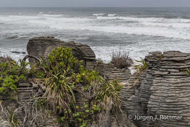 Neuseeland | Südinsel | Punakaiki | Pancake Rocks