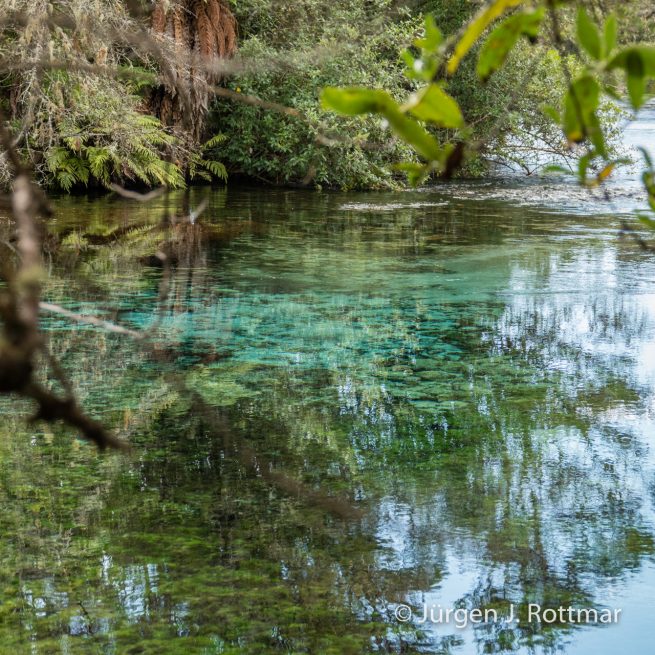 Neuseeland | Südinsel | Te Waikoropupu Springs (Pupu Springs)
