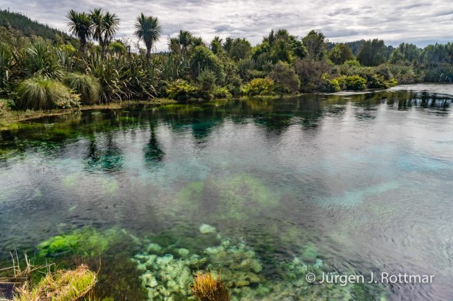 Neuseeland | Südinsel |Te Waikoropupū Springs (Pupu Springs)