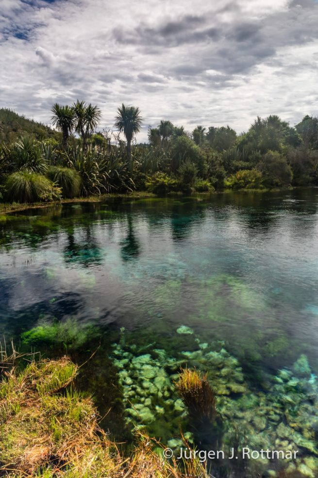 Neuseeland | Südinsel |Te Waikoropupū Springs (Pupu Springs)