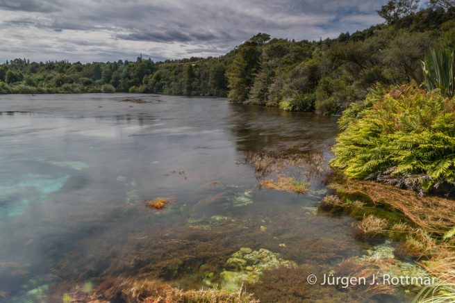 Neuseeland | Südinsel |Te Waikoropupū Springs (Pupu Springs)