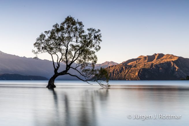 Neuseeland | Südinsel | Wanaka