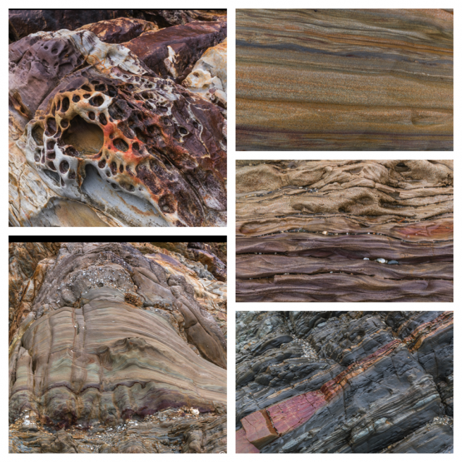 Neuseeland | Südinsel | Monro Beach