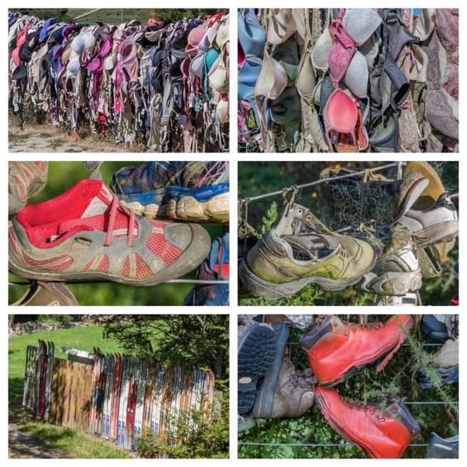 Neuseeland | Südinsel | Zäune (Fences)