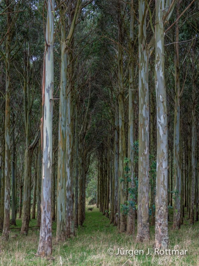 Neuseeland | Südinsel | Southland