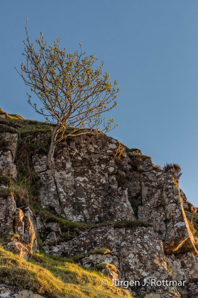 Schottland | Isle of Skye | Uig | Fairy Glen