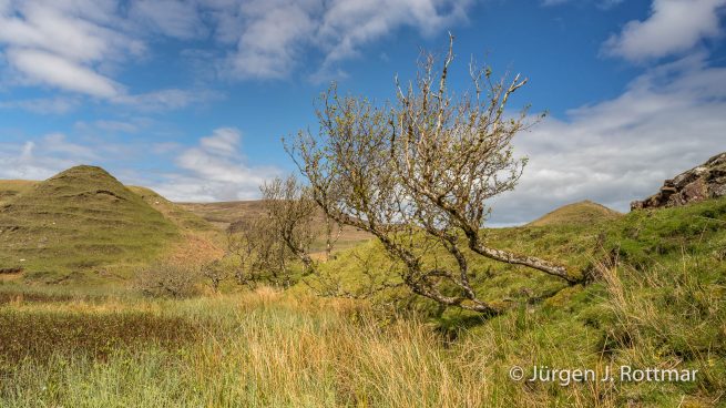 Schottland |Isle of Skye | Fairy Glen
