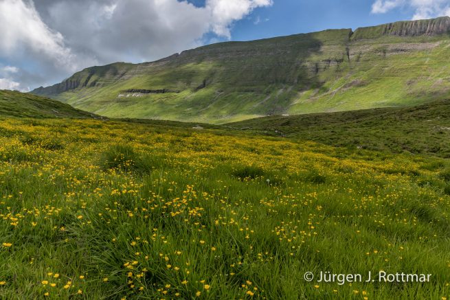 Schweiz | Berner Oberland | Grindelwald | Bussalp (2003 m)
