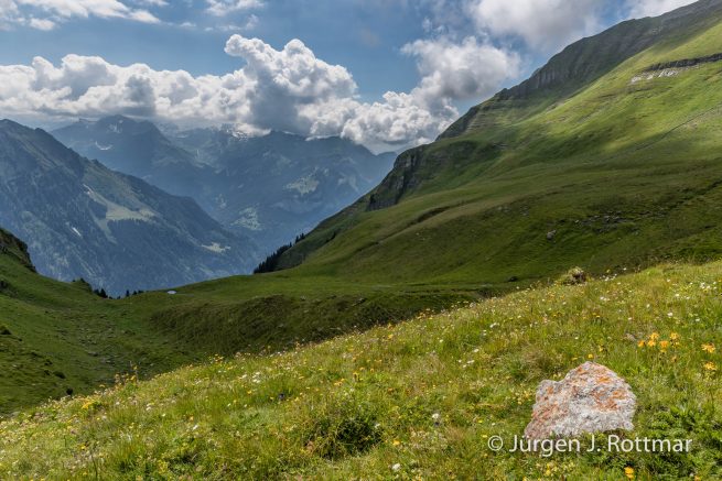 Schweiz | Berner Oberland | Grindelwald | Bussalp (2003 m)