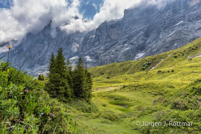 Schweiz | Berner Oberland | Grindelwald | Grosse Scheidegg (2061 m)