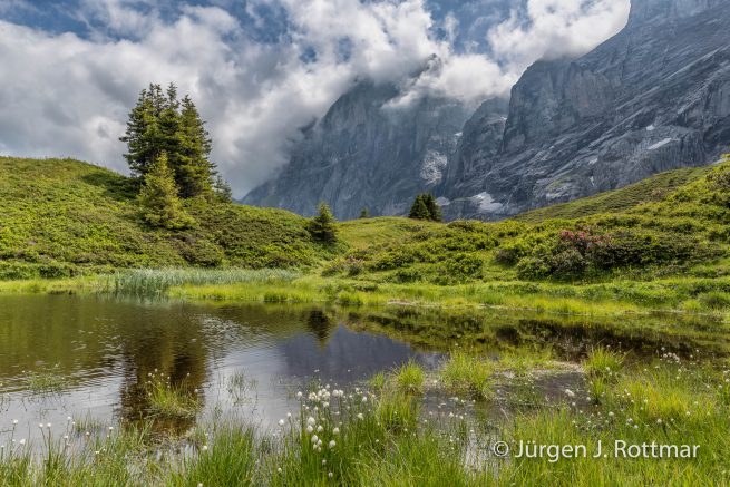 Schweiz | Berner Oberland | Grindelwald | Grosse Scheidegg (2061 m)