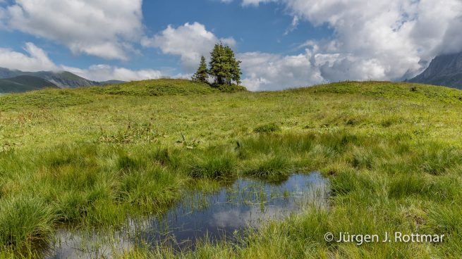 Schweiz | Berner Oberland | Grindelwald | Grosse Scheidegg (2061 m)