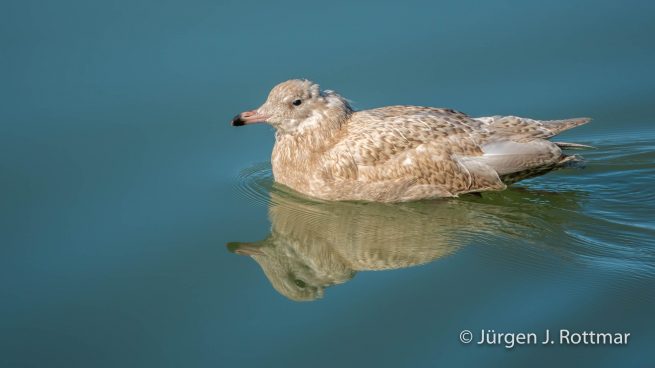 Grönland | Eqi Glacier Lodge