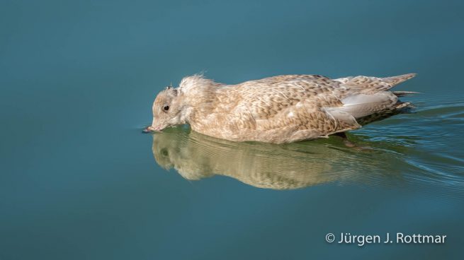 Grönland | Eqi Glacier Lodge