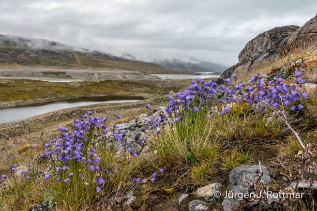 Grönland | Eqi Glacier Lodge | Delta