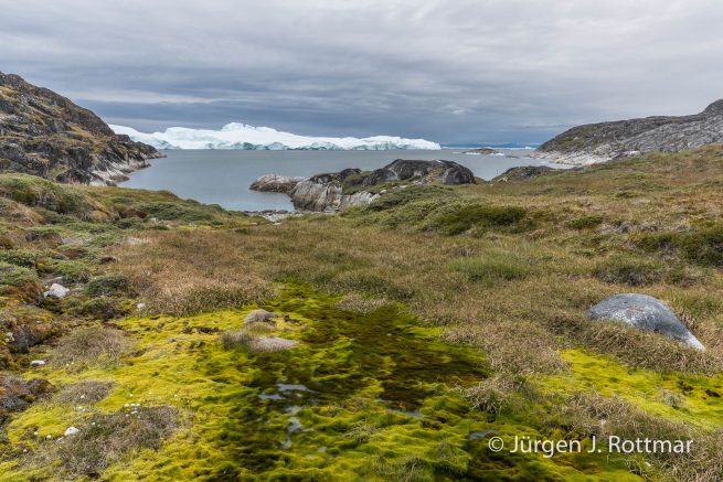 Grönland | Ilulissat Eisfjord (Kangia)