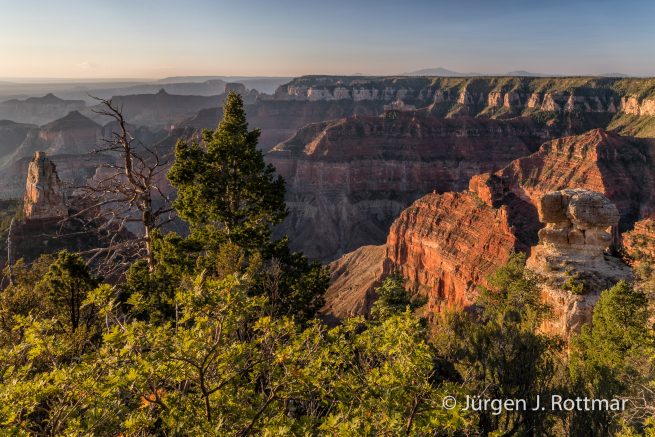 USA | Südwesten | Arizona | Grand Canyon | North Rim | Point Imperial | Mount Haiden
