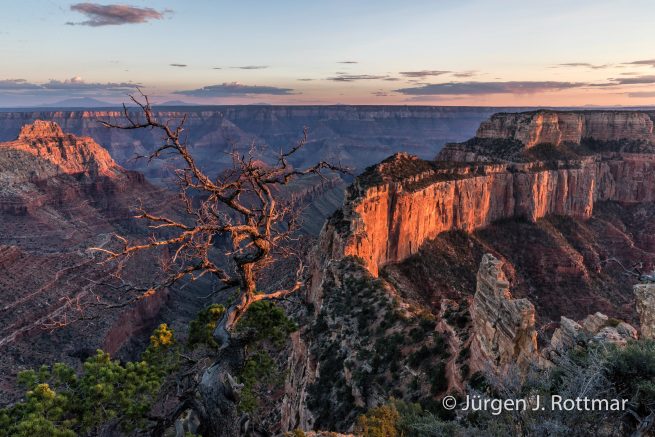 USA | Südwesten | Arizona | Grand Canyon | North Rim | Point Imperial