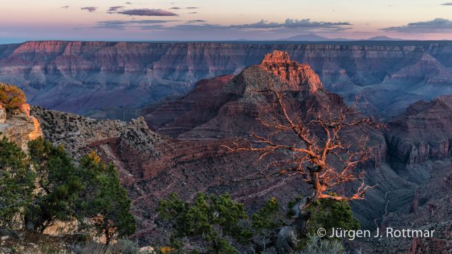USA | Südwesten | Arizona | Grand Canyon | North Rim | Point Imperial