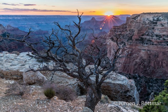 USA | Südwesten | Arizona | Grand Canyon | North Rim | Point Imperial