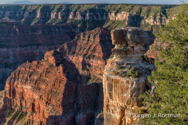 USA | Südwesten | Arizona | Grand Canyon | North Rim | Point Imperial