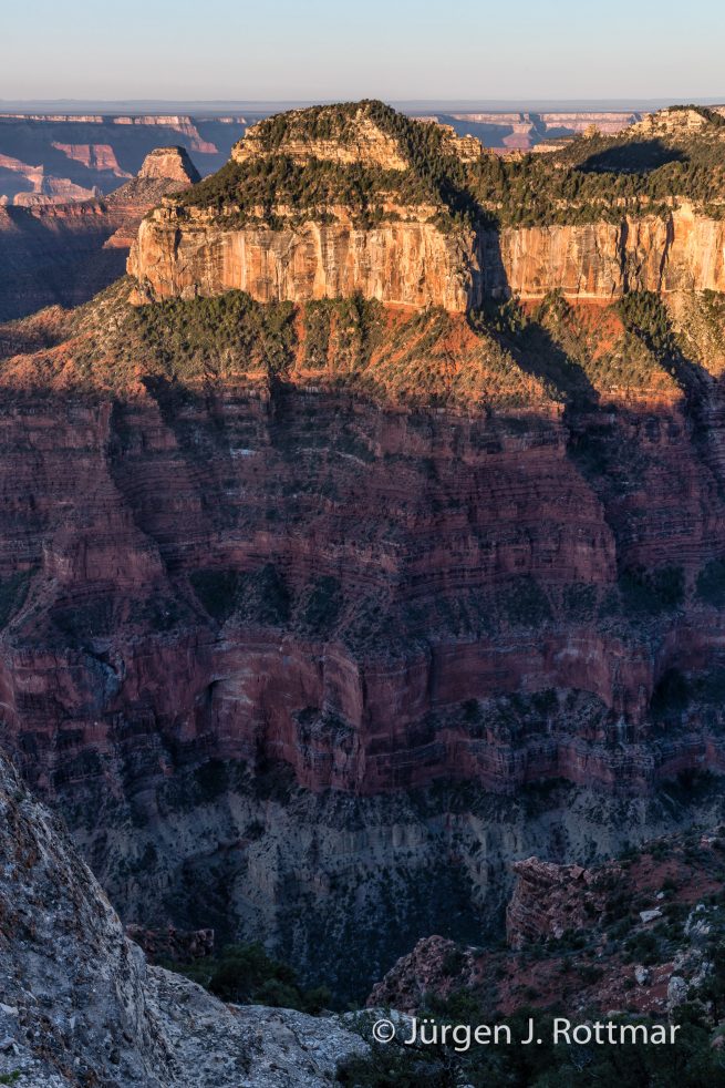 USA | Südwesten | Arizona | Grand Canyon | North Rim