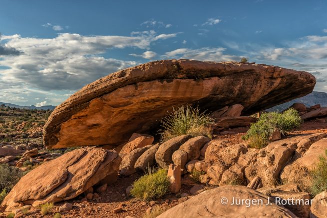 USA | Südwesten | Arizona | Grand Canyon North Rim | Toroweap Point