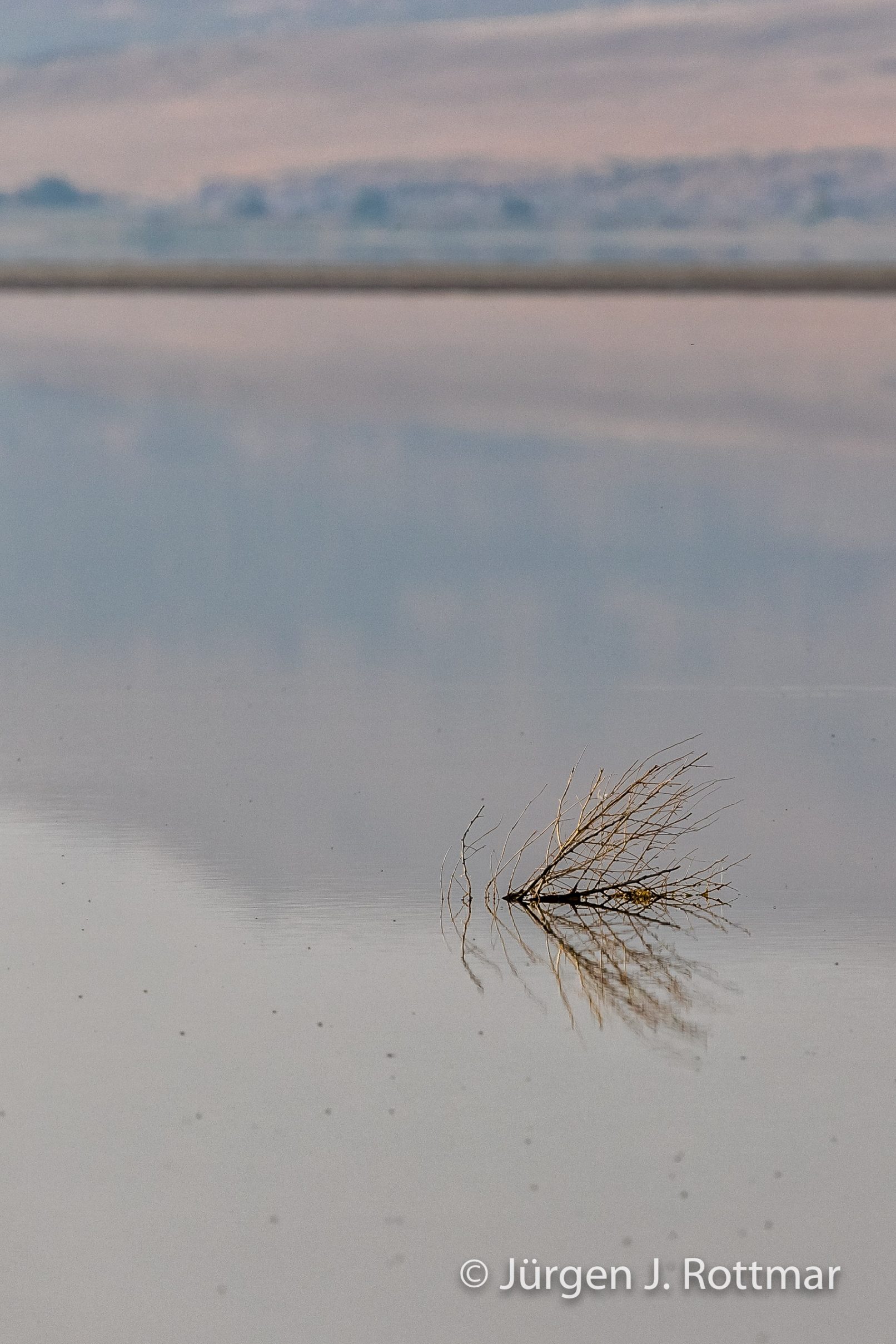 USA | Südwesten | Great Salt Lake | Antelope Island State Park