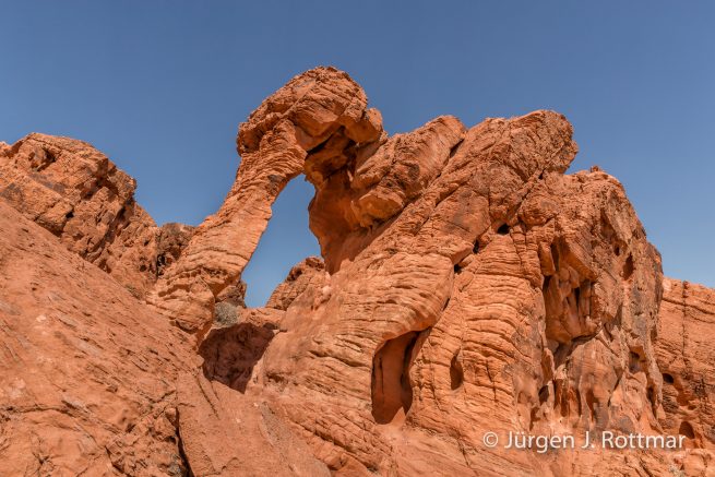 USA | Südwesten | Nevada | Valley of Fire State Park | Elephant Rock